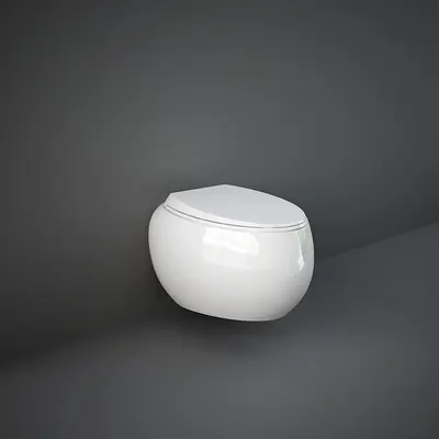 Wall Hung Toilets